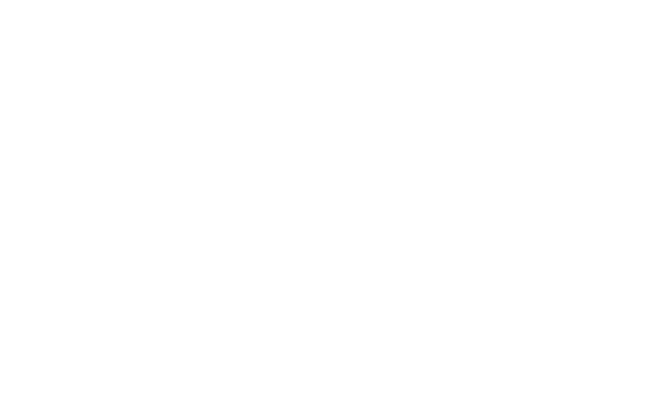 Chapman RCM Group